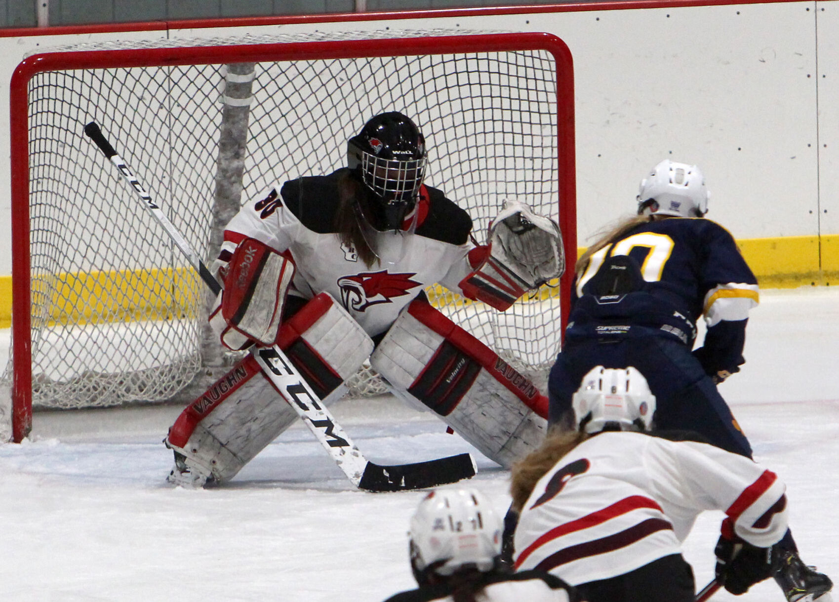 Girls Hockey State Championship: Chippewa Falls/Menomonie vs University School of Milwaukee in Wisconsin Rapids 2-20-21
